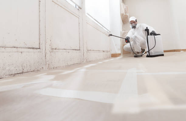24/7 Emergency Crawl Space Mold Removal experts in Deer Park, TX