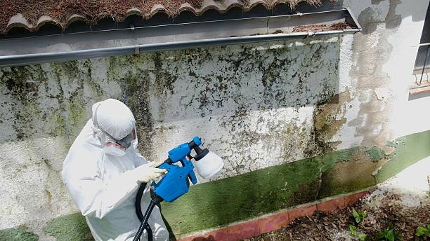 Trusted Crawl Space Mold Removal service in Deer Park, TX - Cheap Mold Removal